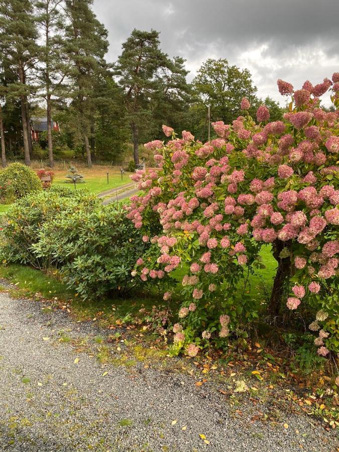 Airbnbekasberg Holiday home *