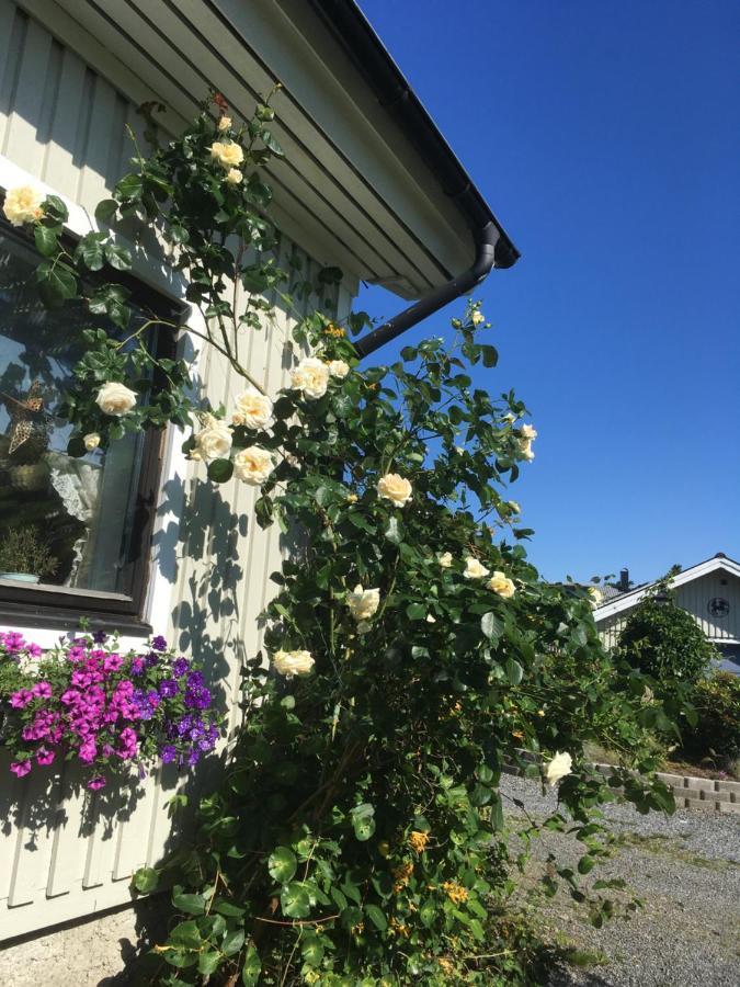 Airbnbekasberg *