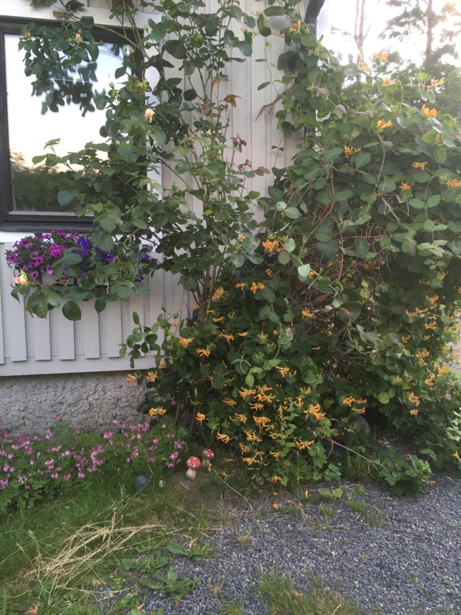 Airbnbekasberg Holiday home