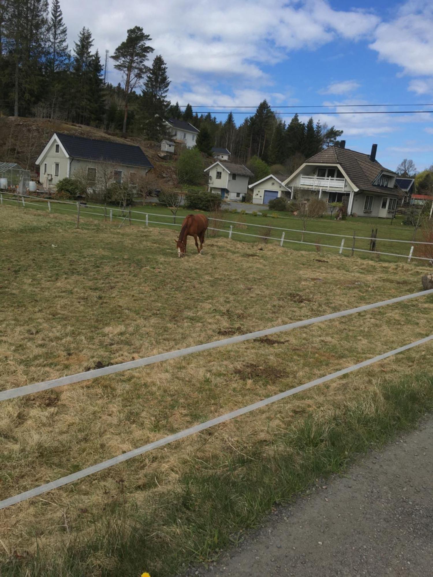 Airbnbekasberg